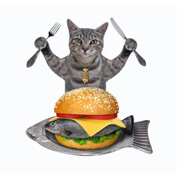 The purpose of this image is to show how to look Can Cats Eat Hamburgers?